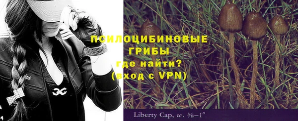 синтетический гашиш Алексеевка