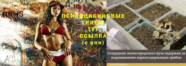 эйфоретик Алзамай