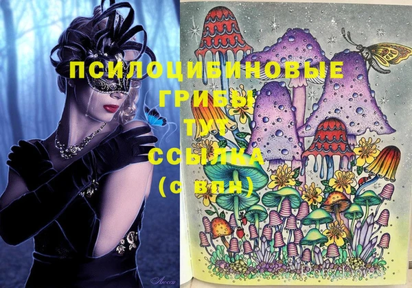 синтетический гашиш Алексеевка