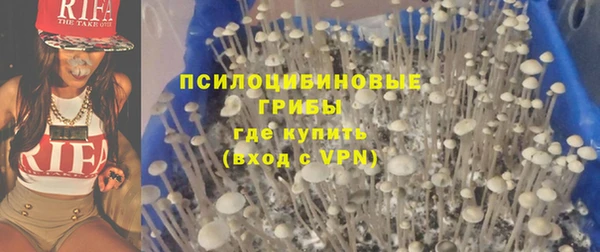 эйфоретик Алзамай