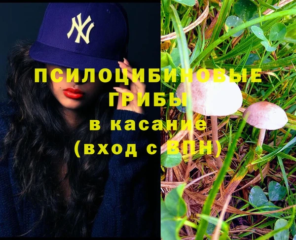 синтетический гашиш Алексеевка