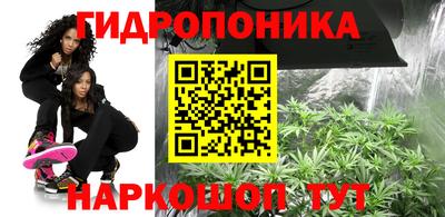 бошки Кандалакша