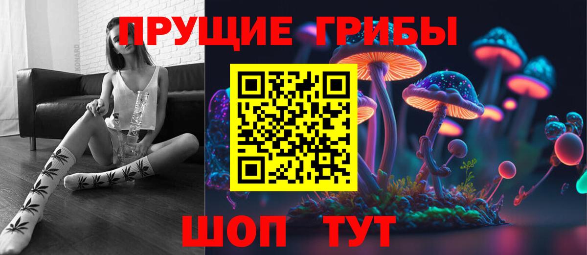 Лабытнанги  Галлюциногенные грибы Psilocybine cubensis  Вход с VPN 