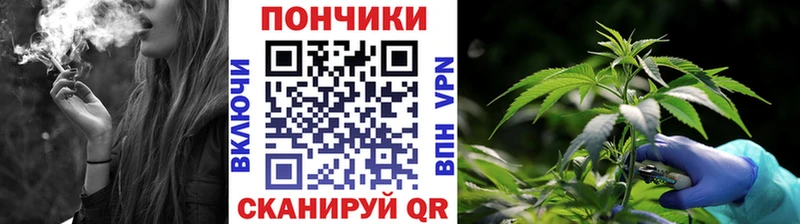 Конопля индика  Лабытнанги 