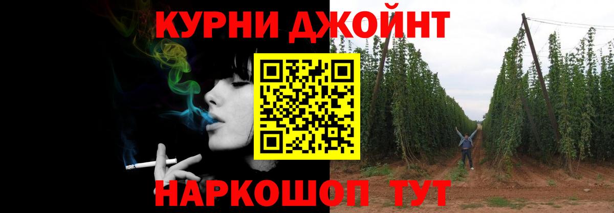 Канабис конопля Лабытнанги